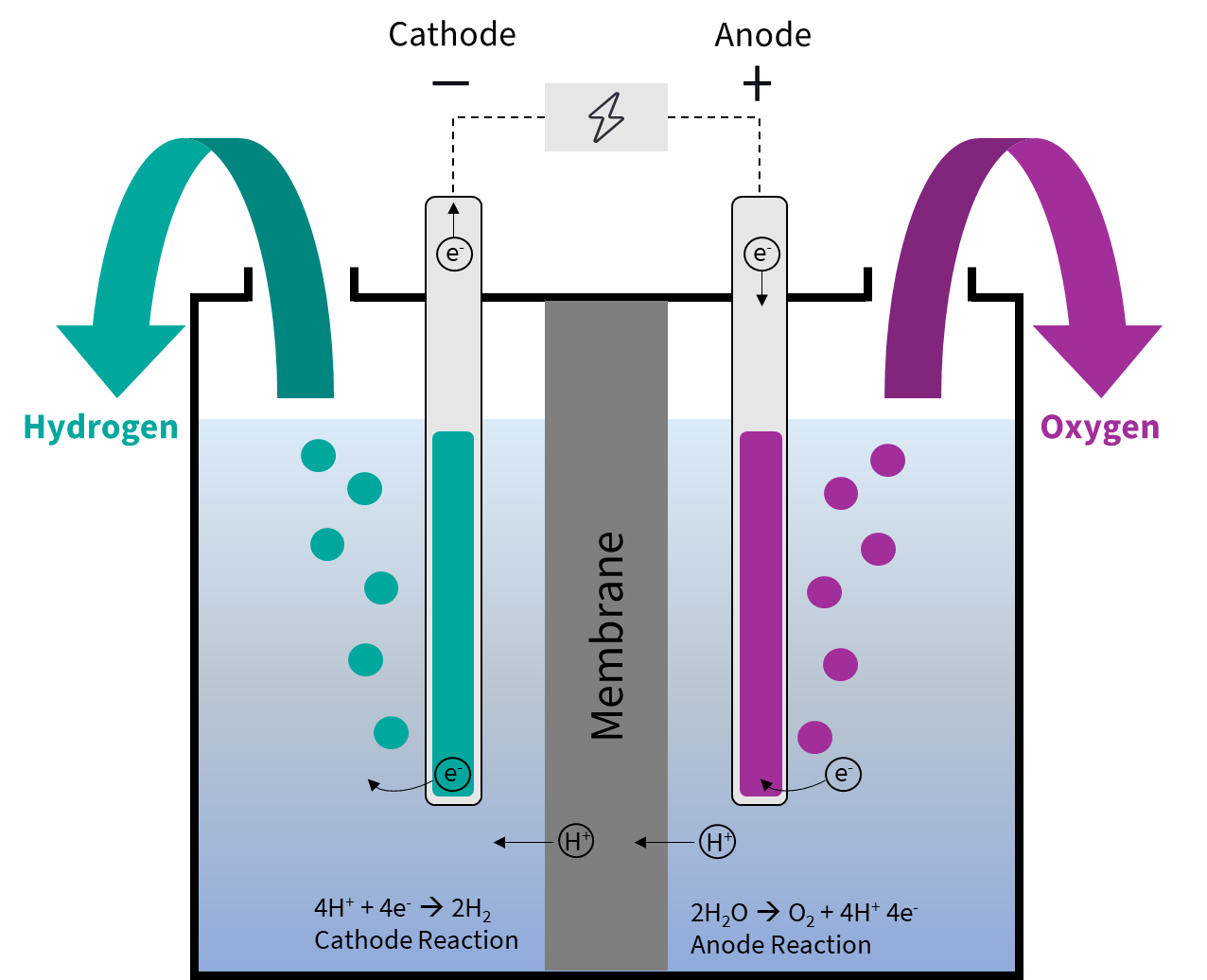 Which Electrodes Are Used In Electrolysis Of Water