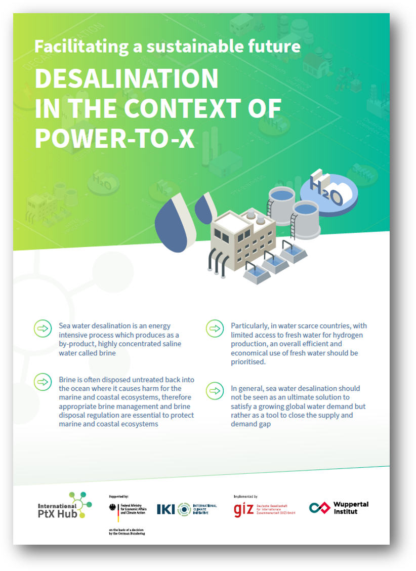 Briefing Series: Introducing Key Aspects Of Power-to-X Sustainability ...